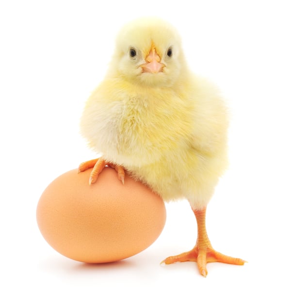 AdobeStock_62115459