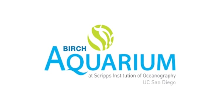 Birch logo-1