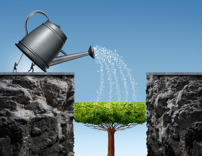If they Grow WE grow case study pic