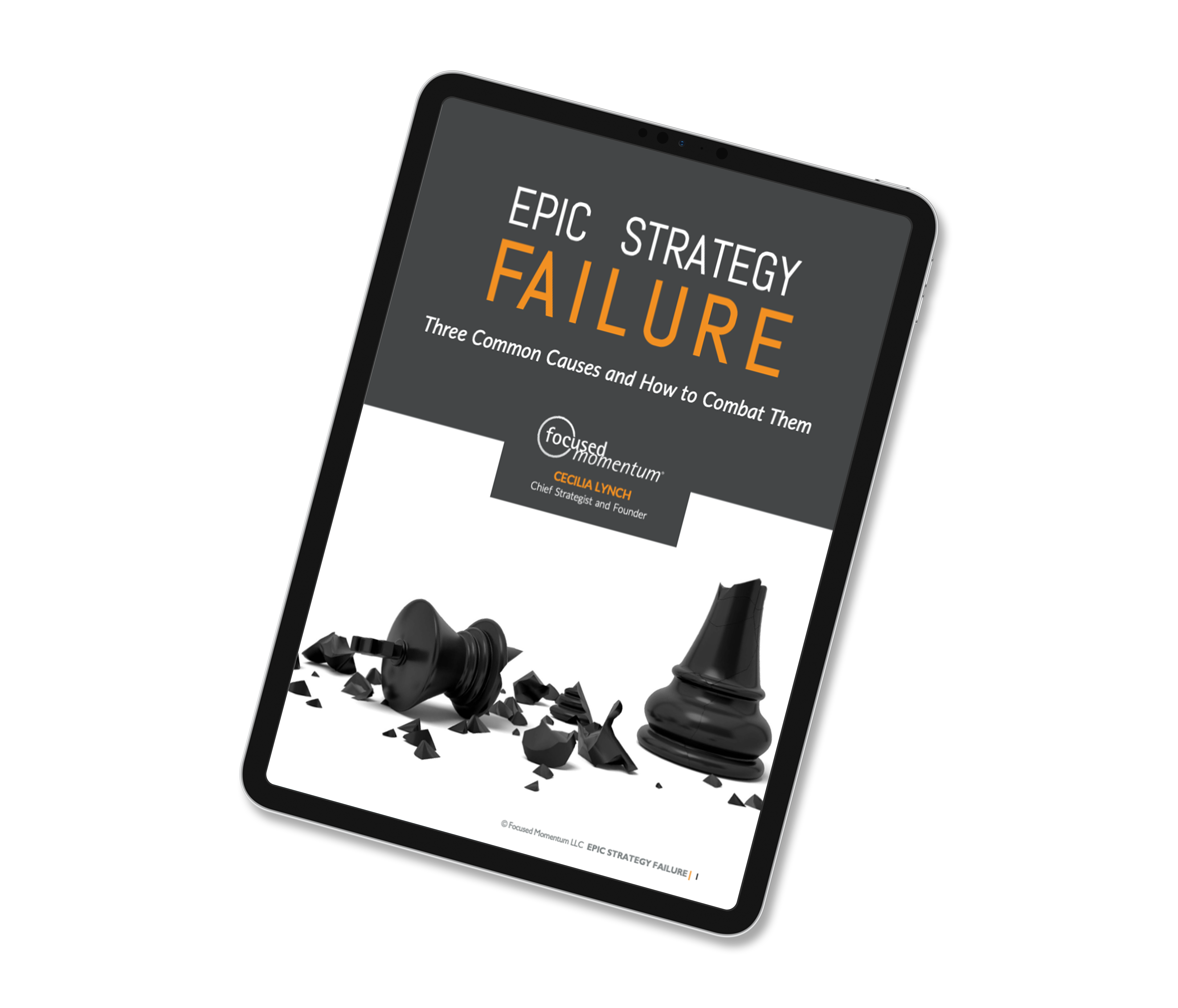 Epic Strategy Failure eBook